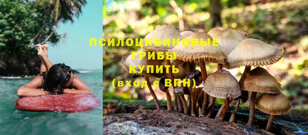синтетический гашиш Медвежьегорск